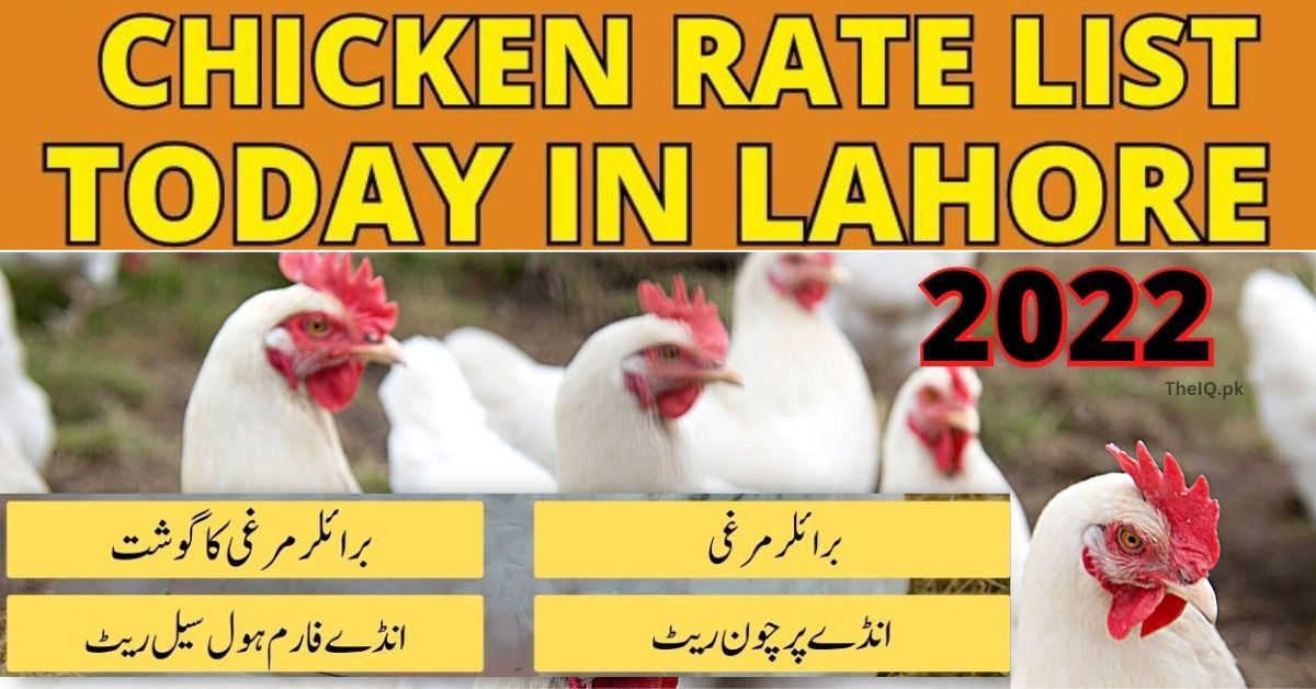 Chicken Rate Today In Lahore Check List