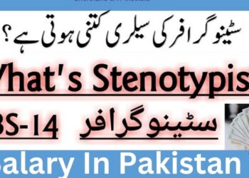 Stenotypist Salary In Pakistan And Pay Scale Of Central Government 9 Stenotypist Salary In Pakistan For 2025 you Can See here