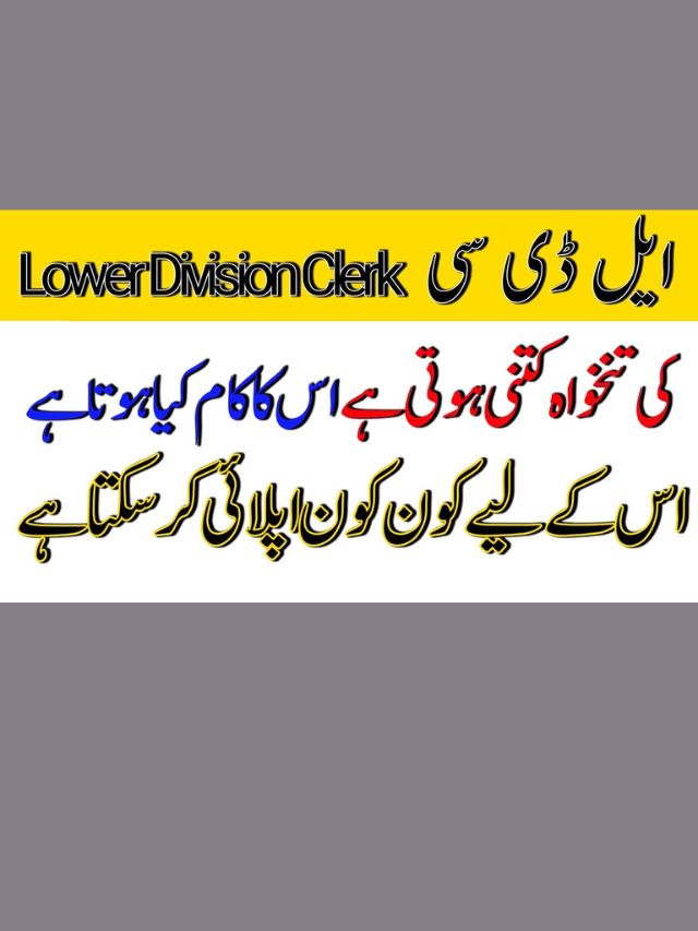 Lower Division Clerk (LDC) Salary In Pakistan Details Check here