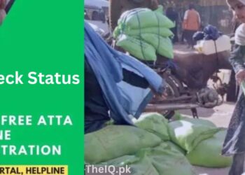 How To Check Status Ehsaas 8070 Free Atta Online Registration 2024 2 How to Check Status Ehsaas 8070 Free Atta Online Registration