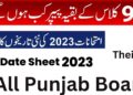 9Th Class Remaining Papers New Datesheet 2023 | Schedule of Postponed Papers 11 9Th Class Remaining Papers New Datesheet 2023