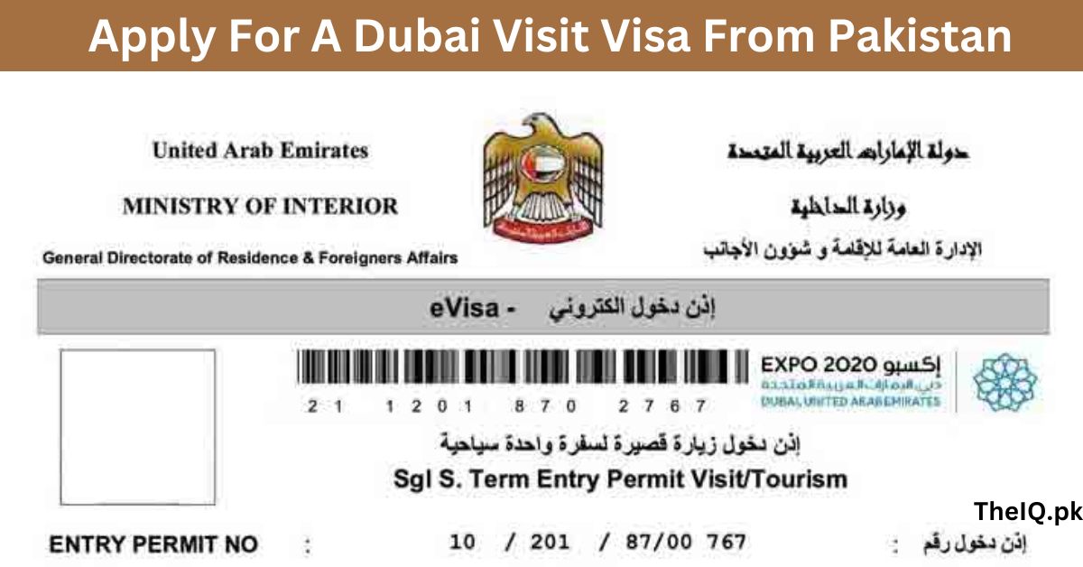 dubai visit visa apply online from pakistan