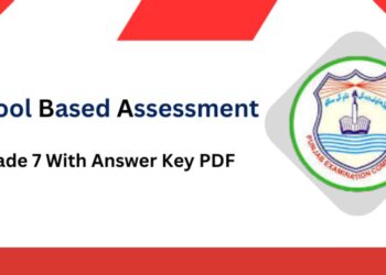 School Based Assessment 2024 Grade 7