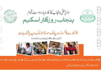 CM Punjab Rozgar Scheme Online Apply 2025 | Complete Guidance 9 CM Punjab Rozgar Scheme Online Apply