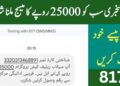 8171 Ehsaas Program Rs. 25000 Registration Online Check | New Update 9 8171 Ehsaas Program Rs. 25000 Registration Online