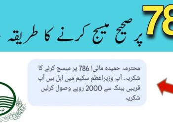Ehsaas 786 Web Portal Check Online Registration 2025 9 Ehsaas 786 Web Portal Check Online