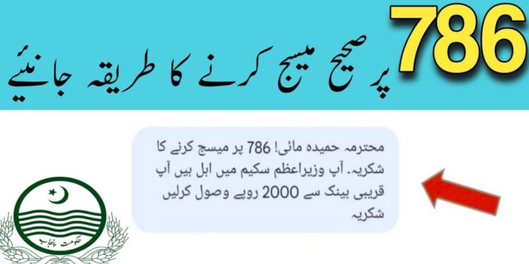 Ehsaas 786 Web Portal Check Online Registration 2025 1 Ehsaas 786 Web Portal Check Online