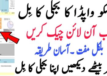 Check FESCO Bill Online In 2025