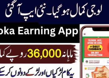Download Toloka Online Earning App