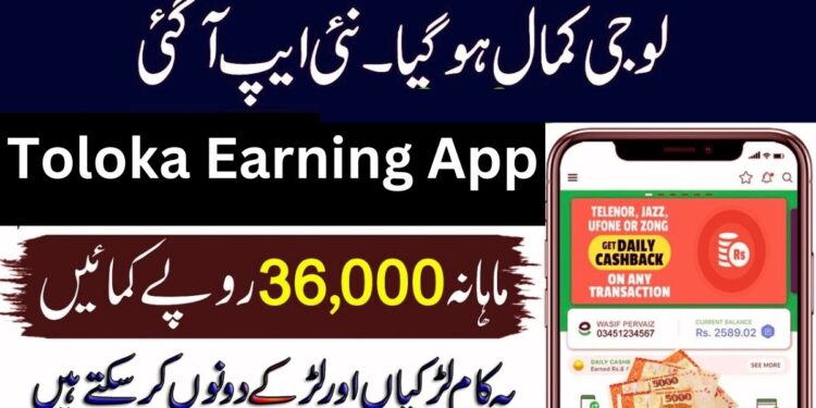 Download Toloka Online Earning App