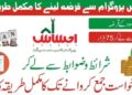 Ehsaas Loan Program 2025 Apply Online | Interest Free Loans 10 Ehsaas Loan Program 2025 Apply Online