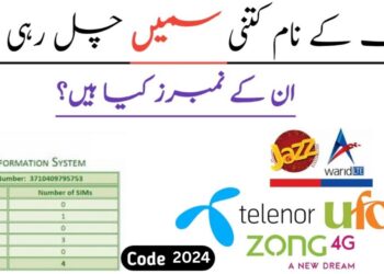 How To Check All Sim Numbers On ID Card