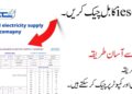 IESCO Duplicate Bill Online Check 2024