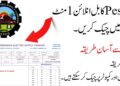 PESCO Bill Online Check By CNIC 2025 | Download Duplicate Bill Copy 10 PESCO Bill Online Check