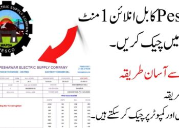 PESCO Bill Online Check