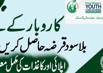 PM Youth Business And Agriculture Loan Program Online Apply 2025 3 PM Youth Business And Agriculture Loan Program