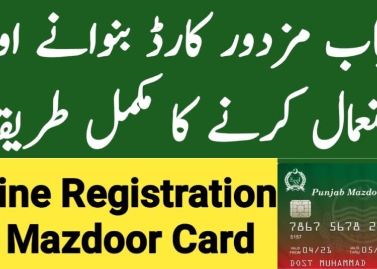 bisp-8171-online-registration-check-by-cnic-ehsaas-program