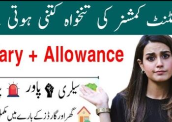 Salary Of Assistant Commissioner (AC) In Pakistan 2025 | Protocol & Benefits 8 Salary Of Assistant Commissioner (AC) In Pakistan