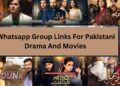 Whatsapp Group Links For Pakistani Drama and Movies