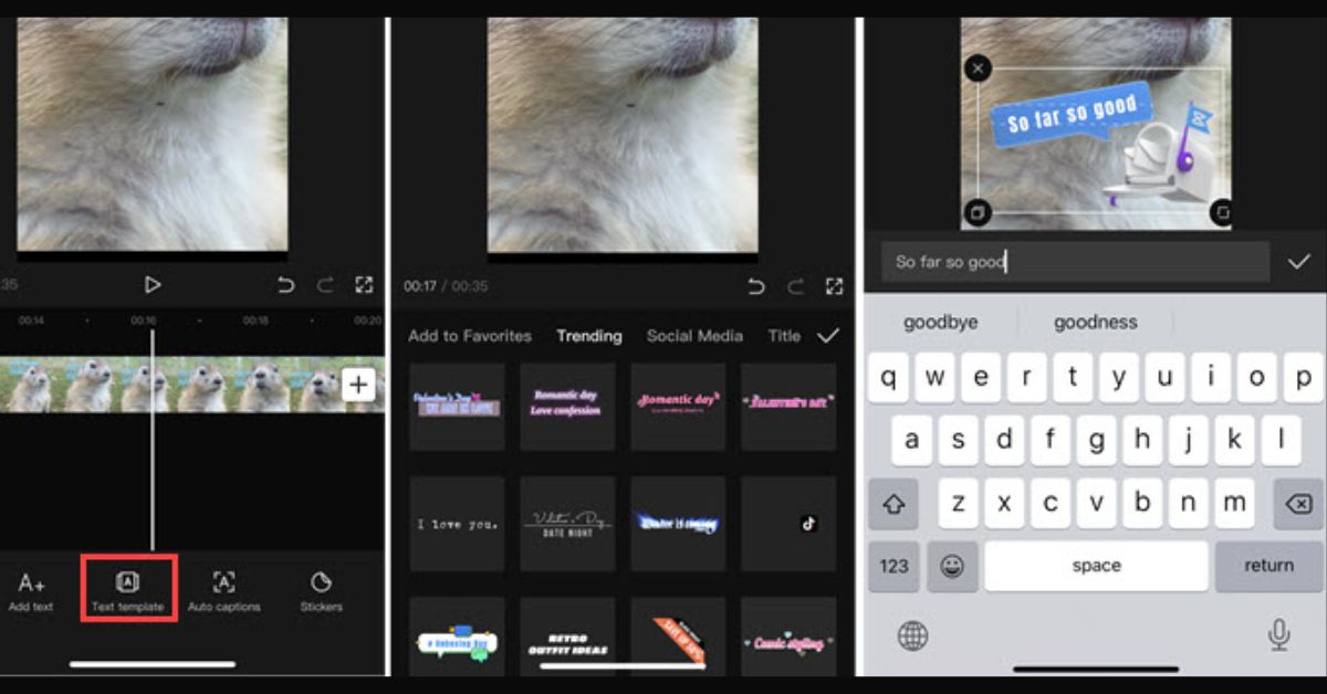 Capcut Template New Trend Tiktok Download Best Collection
