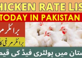 1kg Chicken Rate In Pakistan Today List