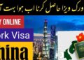 How To Get A China Work Visa From Pakistan 2025 11 Get A China Work Visa From Pakistan 2025