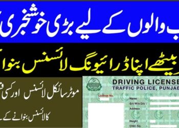 Learning Driving Licence Punjab Online Apply | Fee Schedule 6 Learning Driving Licence Punjab Online Apply