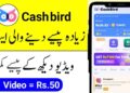 Download Cashbird App Watch And Play