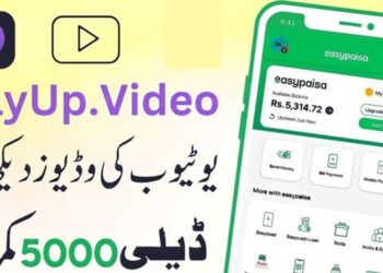 PayUp Online Earning App Watch Videos
