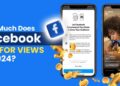 How Much You Earn In Facebook Views