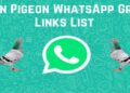 Top 1200+ Pigeon Whatsapp Group Links List 2025 (Updated) 12 Pigeon Whatsapp Group Links List