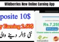 Wildberries New Online Earning App In Pakistan 2025 | Real Or Fake 10 Wildberries New Online Earning App In Pakistan 2025