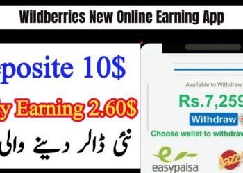 Wildberries New Online Earning App In Pakistan 2025