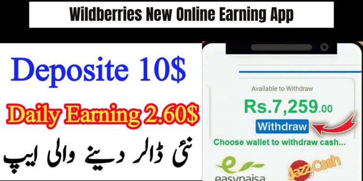 Wildberries New Online Earning App In Pakistan 2025
