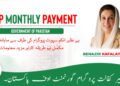 BISP Check Balance Online By CNIC 2025 | New Payment 11 BISP New Monthly Payment