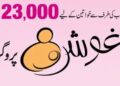 Ehsaas Aghosh Program 23000 Online Registration