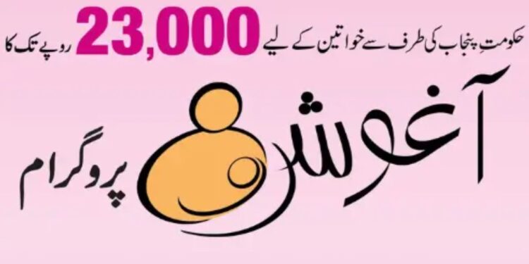 Ehsaas Aghosh Program 23000 Online Registration