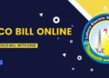 LESCO Bill Check Online 2025 | Duplicate LESCO Bill Download 11 LESCO Bill Check Online