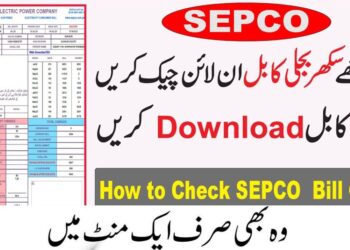 SEPCO Online Electricity Bill Check