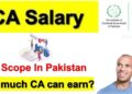 Check Fresh Chartered Accountant Salary In Pakistan