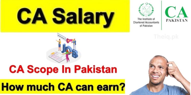 Check Fresh Chartered Accountant Salary In Pakistan