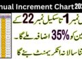 New Annual Increment Chart In December 2024-25