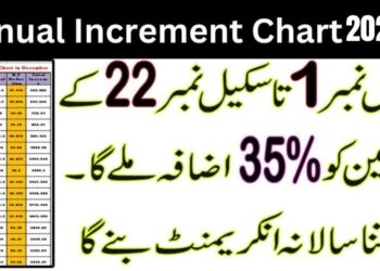 Annual Increment Chart In December 2024-25 (Updated) 3 New Annual Increment Chart In December 2024-25