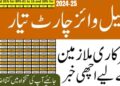 New Pay Scale Chart 2024-25 | Federal Government Employees 12 New Pay Scale Chart 2024-25
