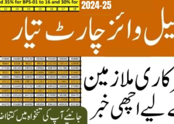 New Pay Scale Chart 2024-25 | Federal Government Employees 2 New Pay Scale Chart 2024-25