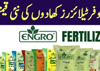 Engro Fertilizer Price in Pakistan Today