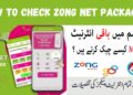 How to Check Zong Net Package in 2025 | Daily, Weekly, Monthly 2 How to Check Zong Net Package