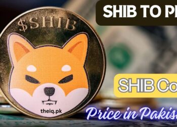 SHIB Coin Price in Pakistan 2025 | SHIB to PKR Rate 9 SHIB Coin Price in Pakistan - new prices
