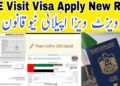 How To Apply For A Dubai Visit Visa From Pakistan 2025 12 Dubai Visit Visa From Pakistan