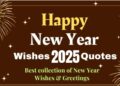 Happy New Year Wishes 2025